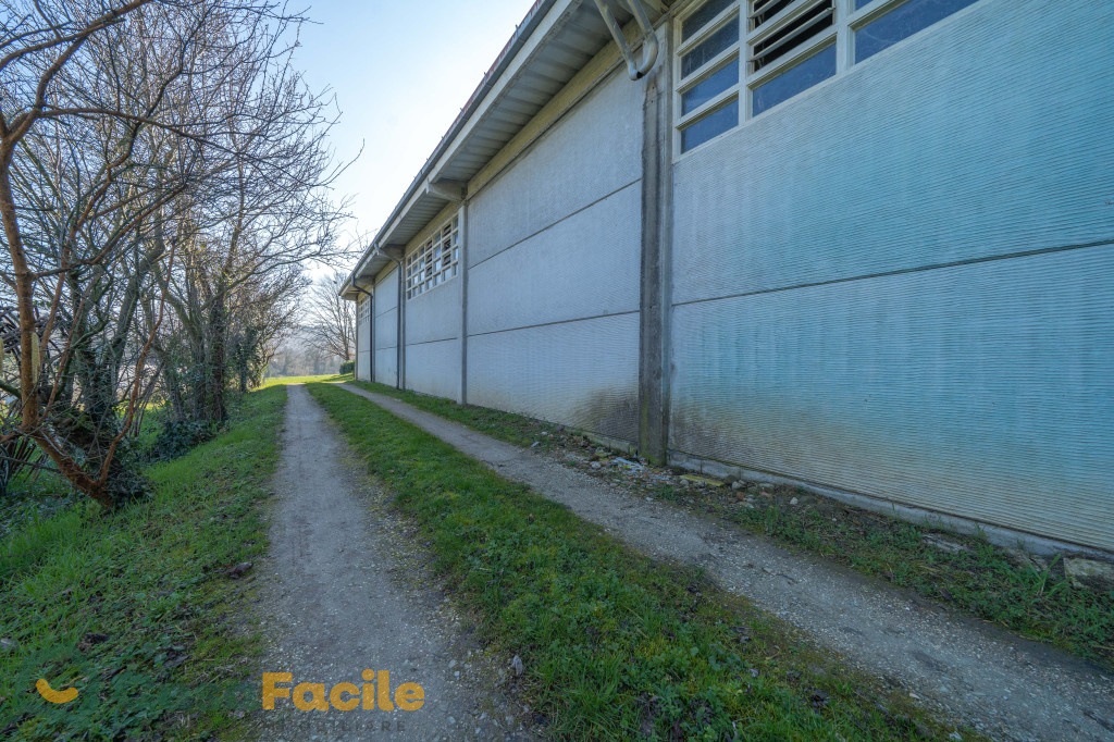immagine annuncio 7 di 10