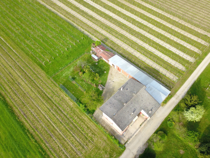 immagine annuncio 4 di 10