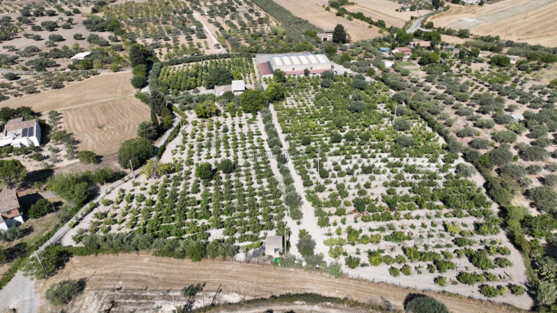 immagine annuncio 6 di 10