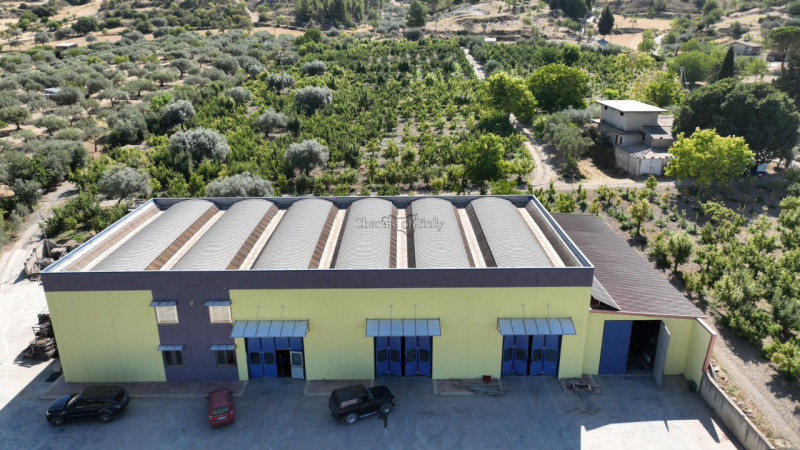 immagine annuncio 5 di 10