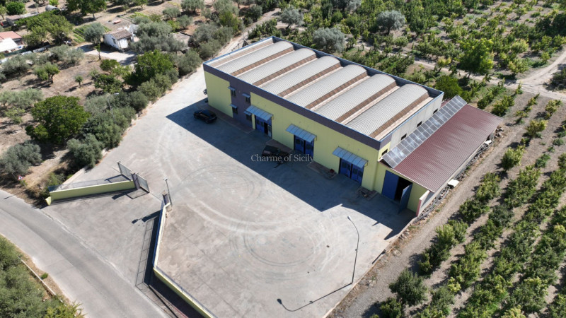 immagine annuncio 3 di 10