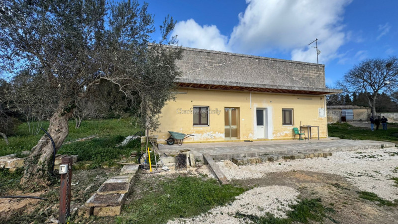 immagine annuncio 2 di 10