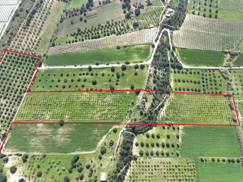 immagine annuncio 7 di 10