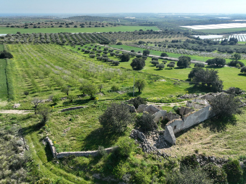 immagine annuncio 9 di 10