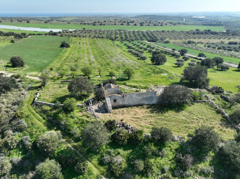 immagine annuncio 8 di 10