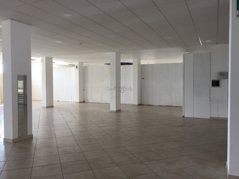 immagine annuncio 4 di 9