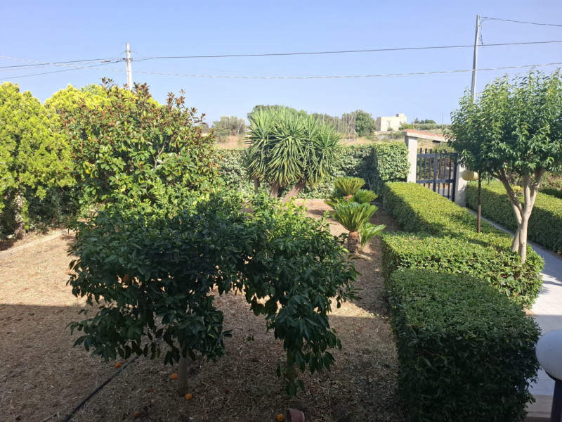 immagine annuncio 5 di 7