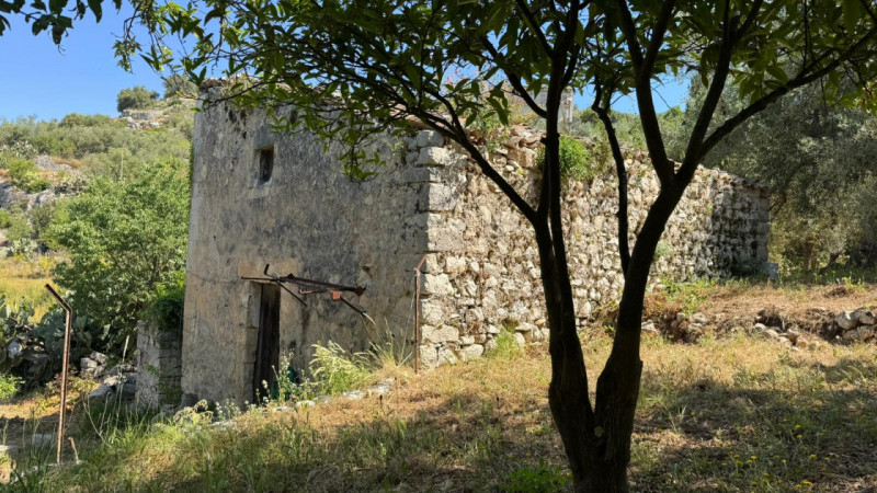 immagine annuncio 6 di 10