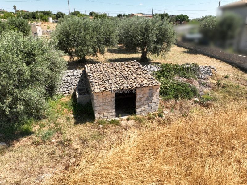 immagine annuncio 6 di 9