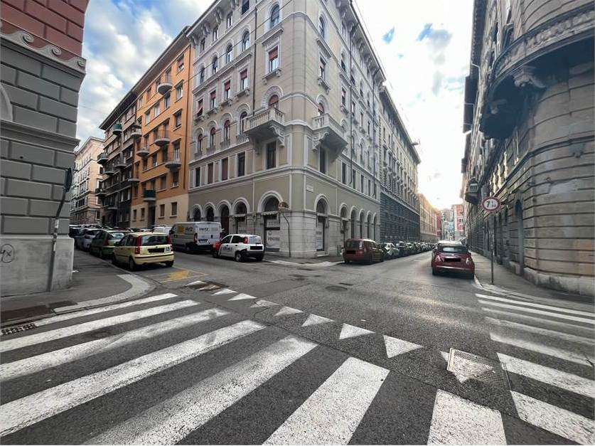immagine annuncio 3 di 6