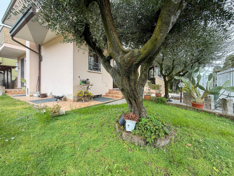 immagine annuncio 7 di 10