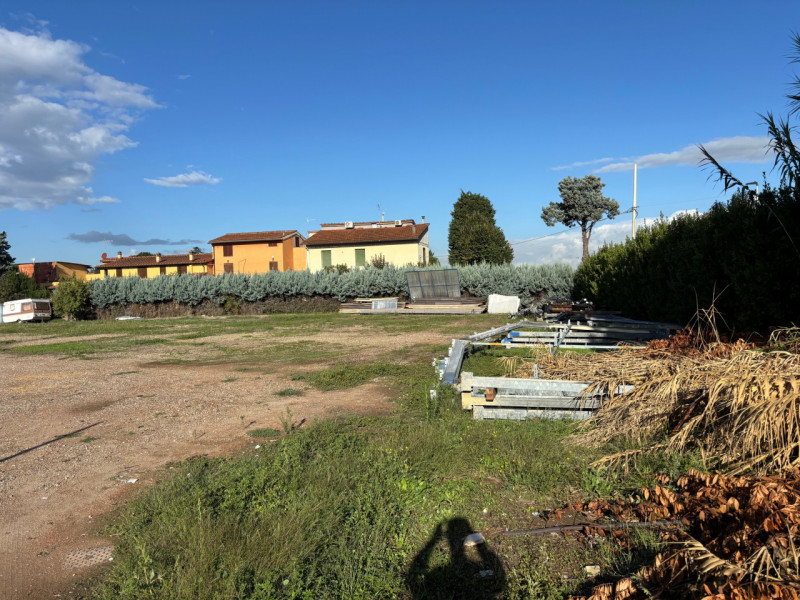 immagine annuncio 2 di 4