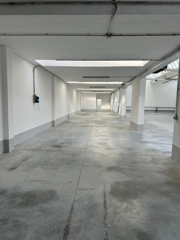 immagine annuncio 3 di 8