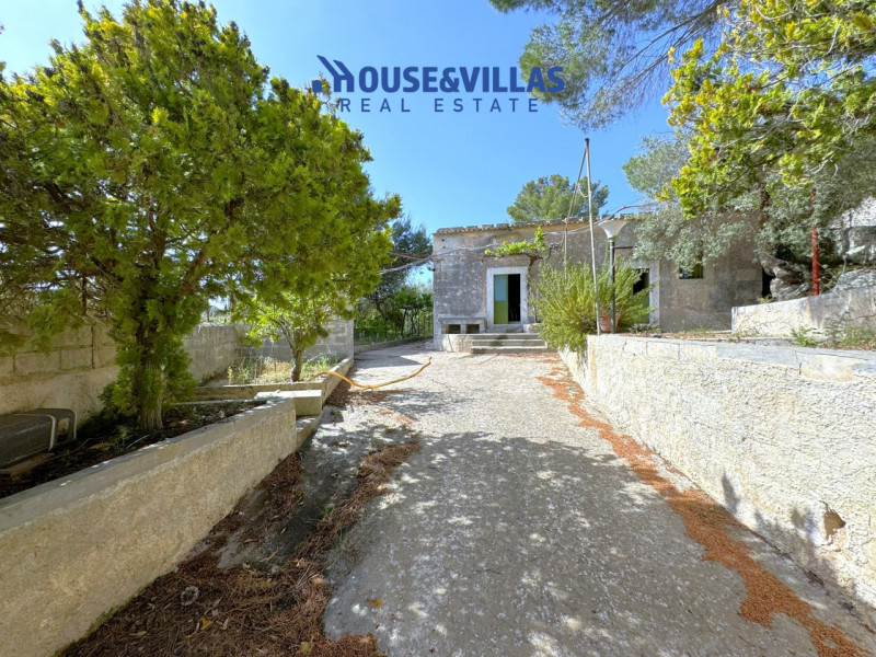 immagine annuncio 6 di 10