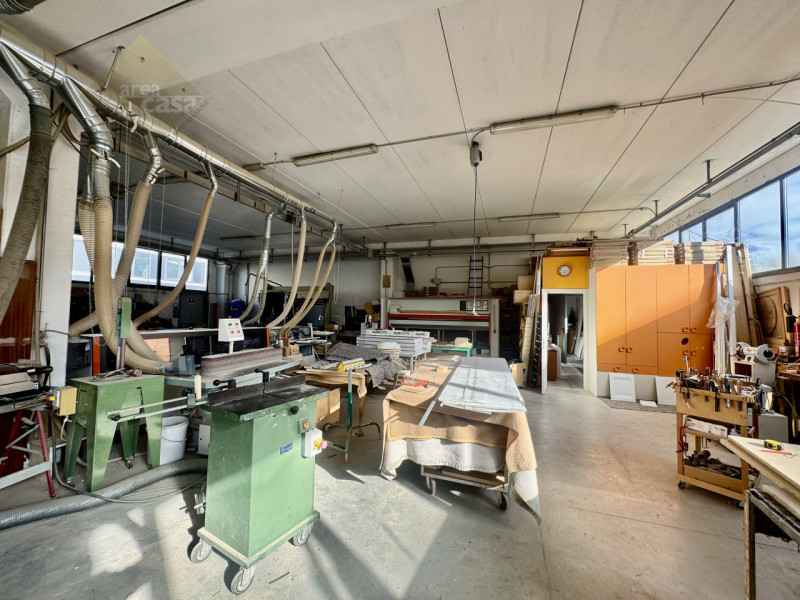 immagine annuncio 1 di 10