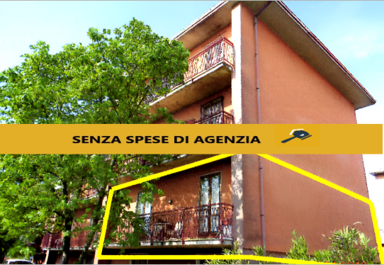 immagine annuncio 1 di 6