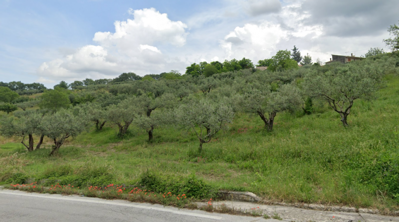 immagine annuncio 4 di 5