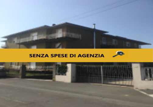 immagine annuncio 5 di 8