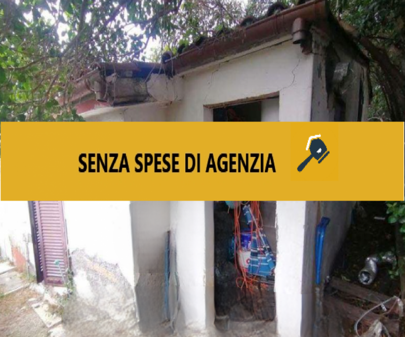 immagine annuncio 5 di 9