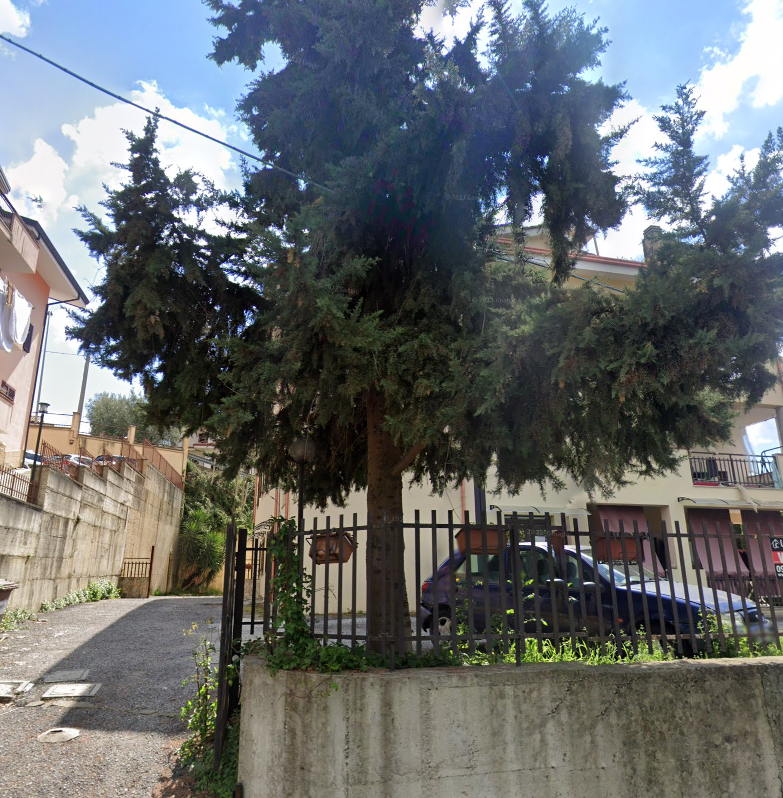 immagine annuncio 3 di 7