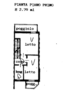 immagine annuncio 2 di 8