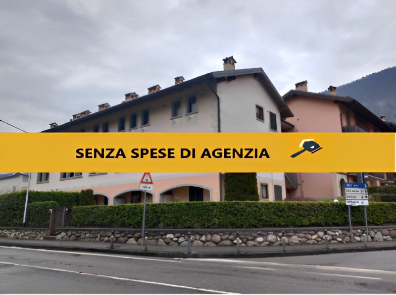 immagine annuncio 3 di 7
