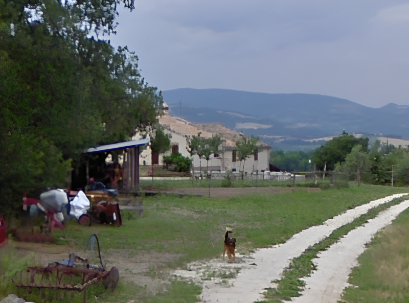 immagine annuncio 1 di 7