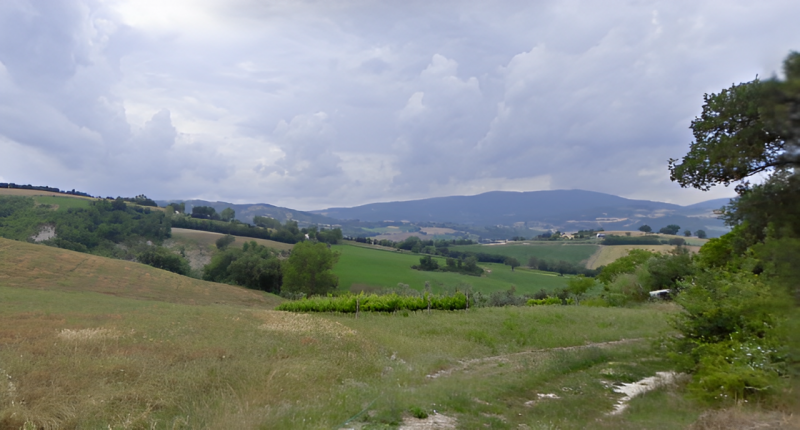 immagine annuncio 5 di 7