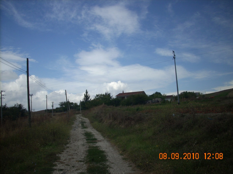 immagine annuncio 3 di 7