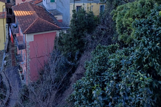 immagine annuncio 5 di 8