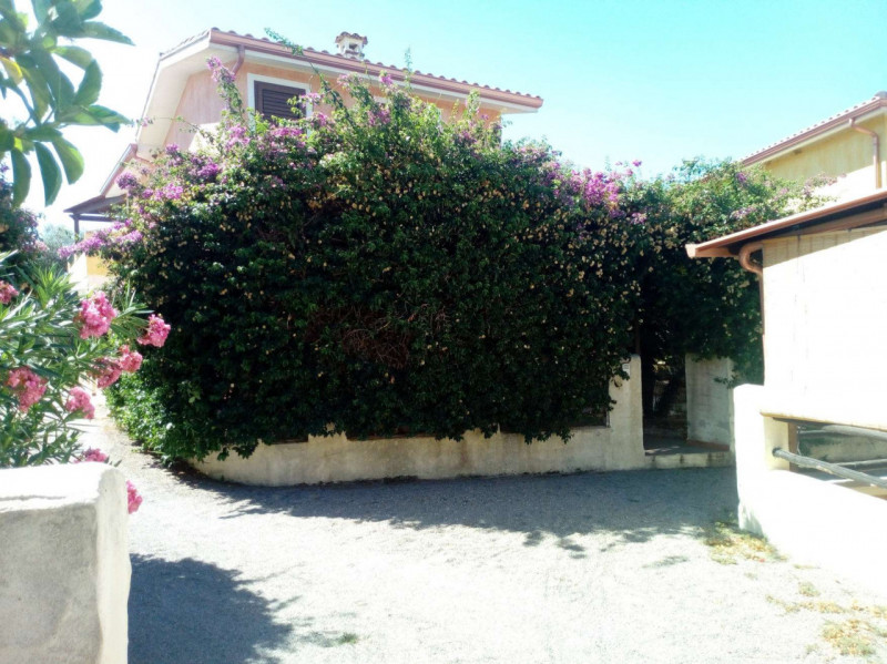 immagine annuncio 8 di 9