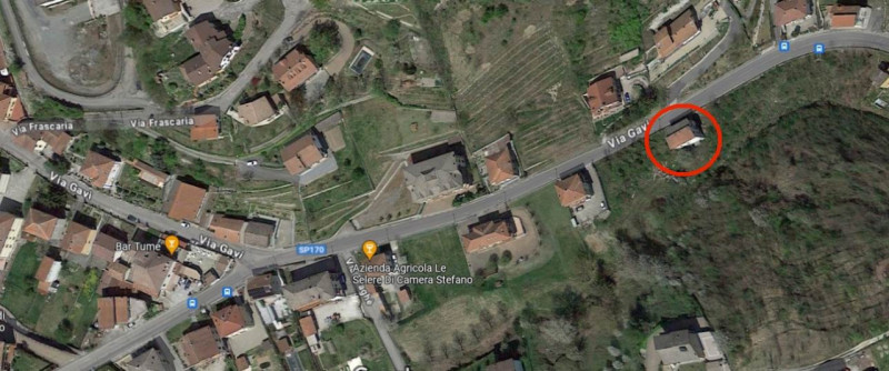 immagine annuncio 5 di 10
