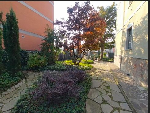 immagine annuncio 5 di 9