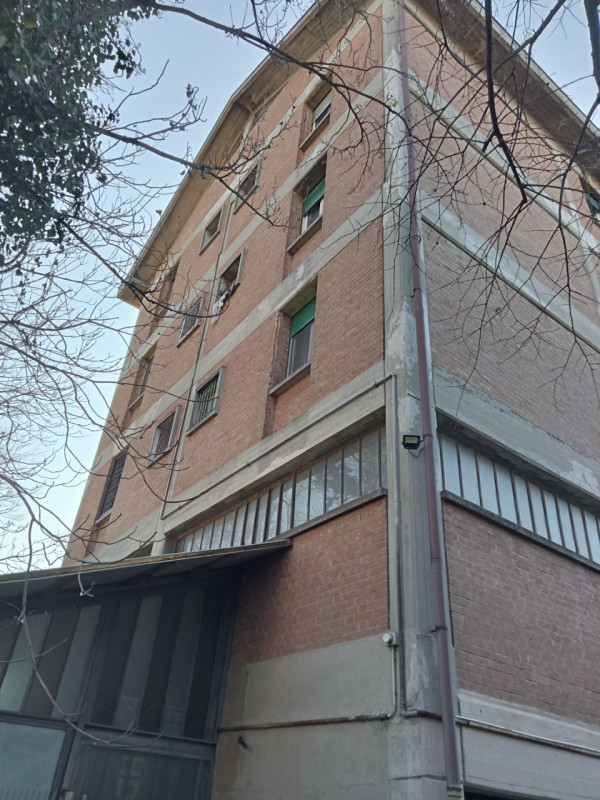 immagine annuncio 6 di 7