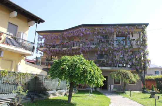 immagine annuncio 5 di 7