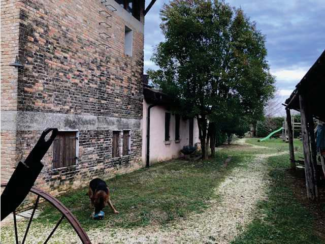 immagine annuncio 8 di 10