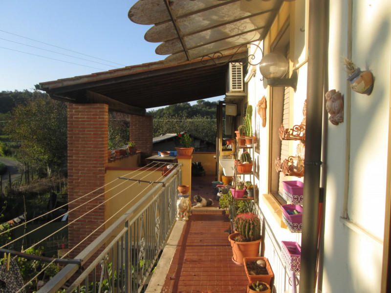 immagine annuncio 7 di 8