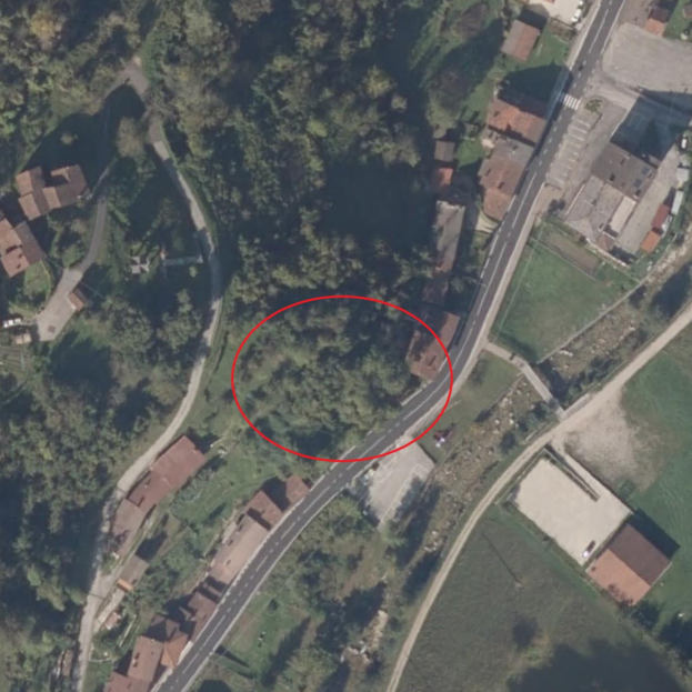 immagine annuncio 1 di 3