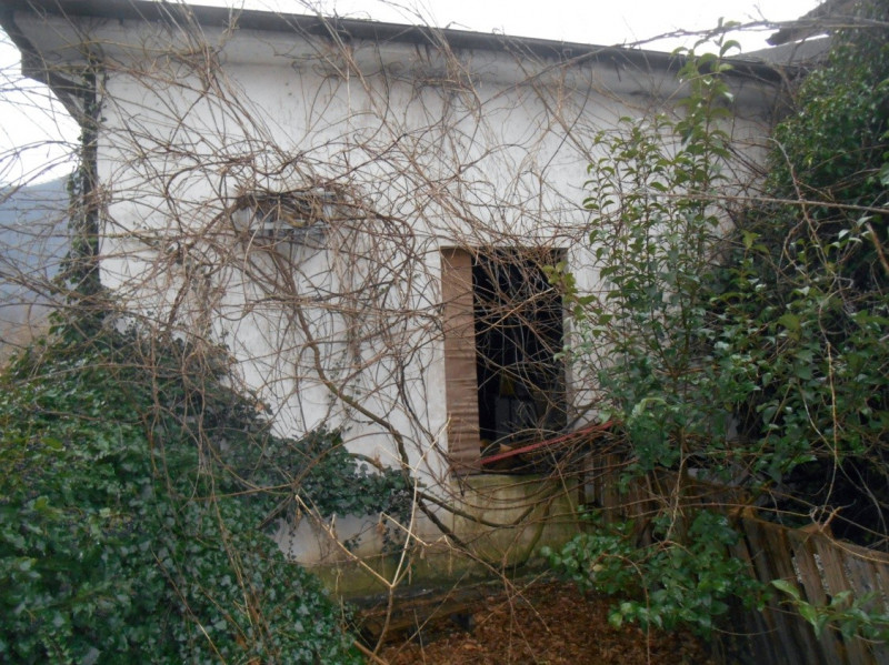 immagine annuncio 1 di 8