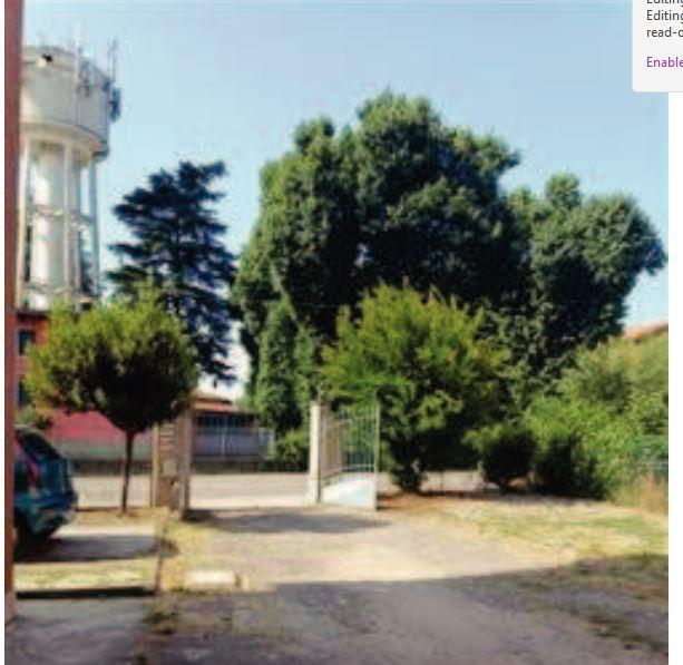 immagine annuncio 2 di 7