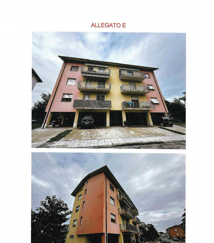 immagine annuncio 4 di 8