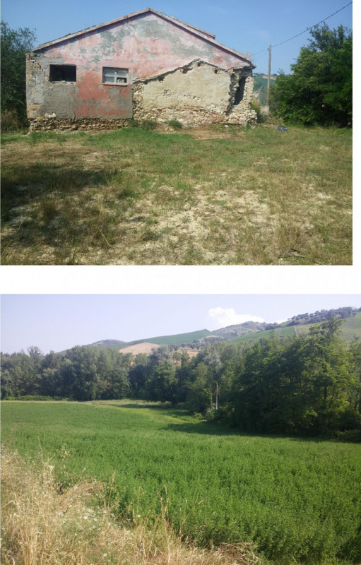 immagine annuncio 3 di 4