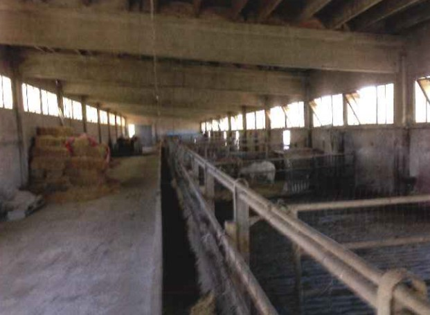 immagine annuncio 1 di 8