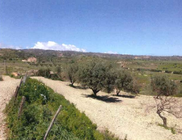 immagine annuncio 7 di 8