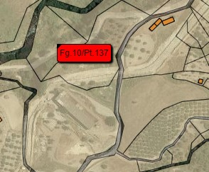 immagine annuncio 5 di 8