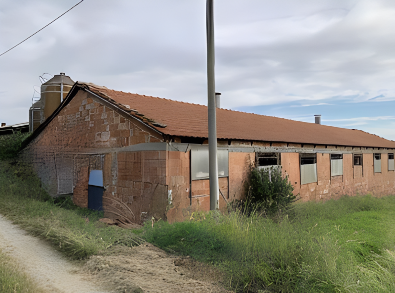 immagine annuncio 6 di 10