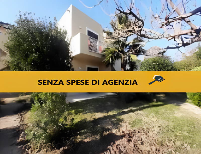 immagine annuncio 2 di 6