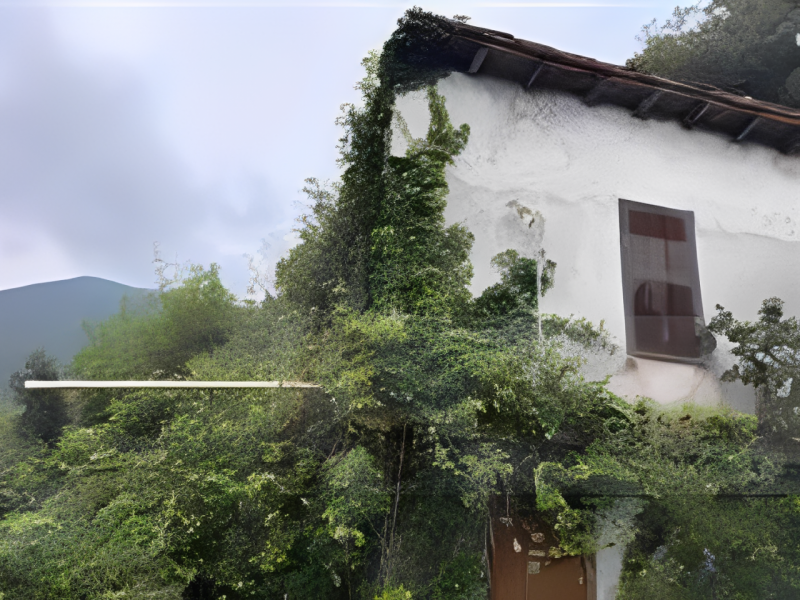 immagine annuncio 2 di 6