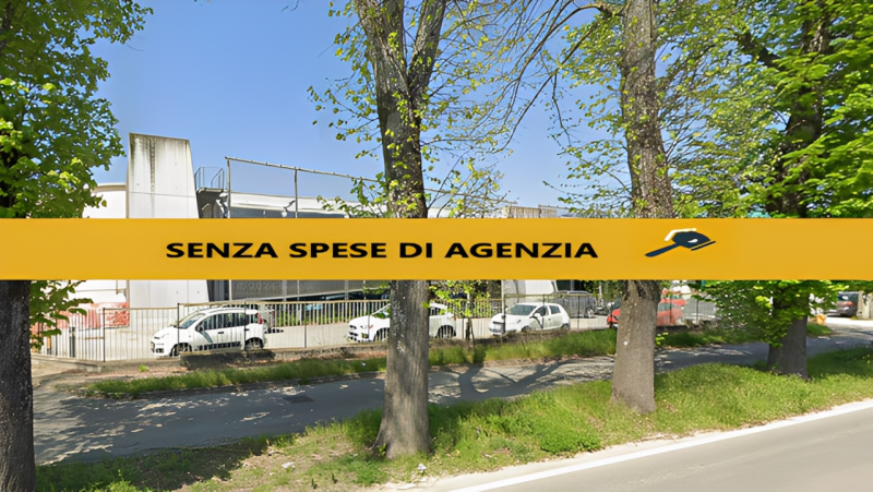 immagine annuncio 2 di 8