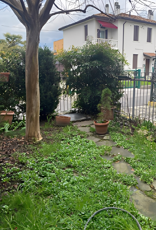 immagine annuncio 5 di 8